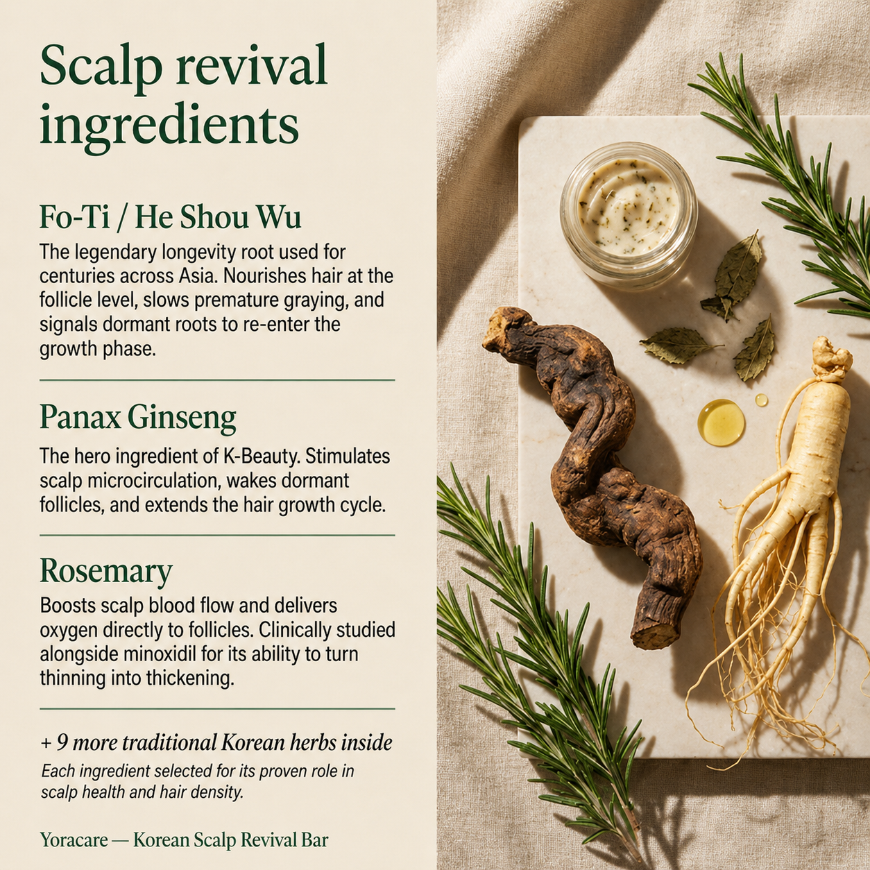 Korean Scalp Revival Bar – Exfoliating Scalp Scrub | Sevune™