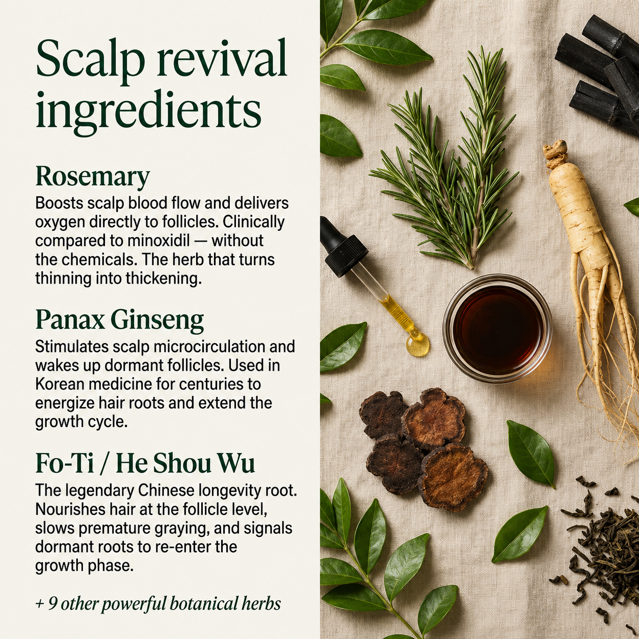 Korean Scalp Revival Bar – Exfoliating Scalp Scrub | Sevune™